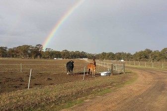 Rainbow over BAWCS Huntly property