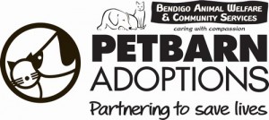 Petbarn Adoptions
