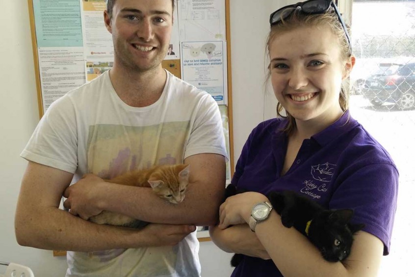 Ninja and Little Miss Sunshine Adopted