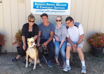 Maximus Adopted