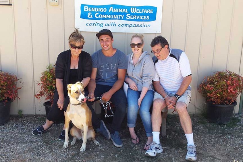 Maximus Adopted