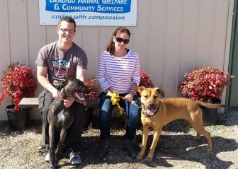 Mishka Adopted