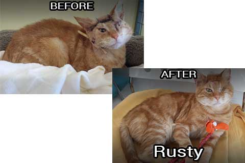 Rusty before & after