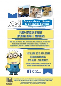 Minions flyer
