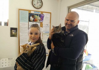 Melody and Arial Adopted