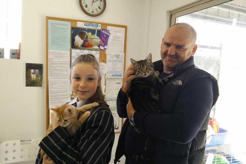 Melody and Arial Adopted