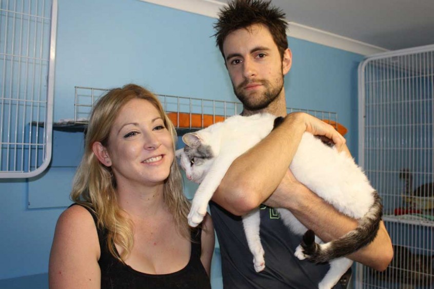 Elvis Adopted