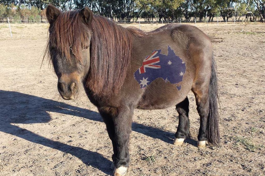 Phantom Australia day