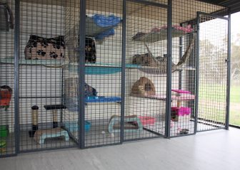 cattery boarding