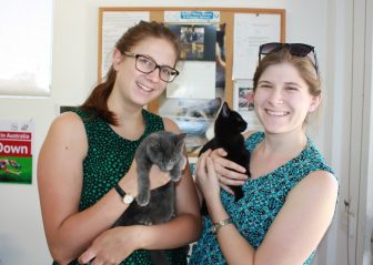 Ajax&Willow Adopted