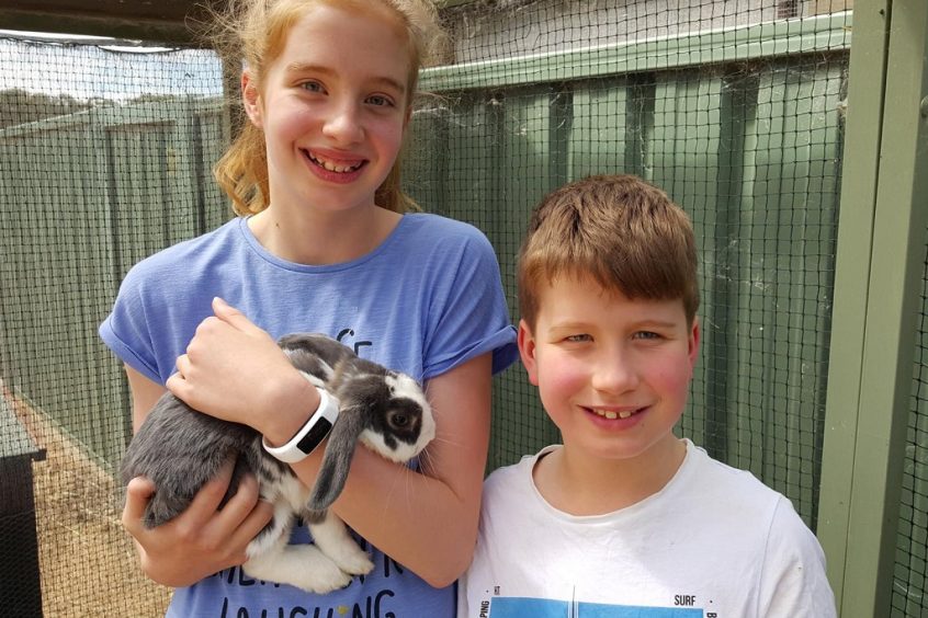 Bunnikins Adopted