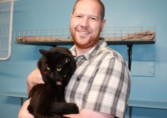 Mojo Adopted