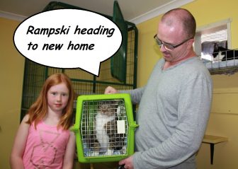 Rampski Adopted