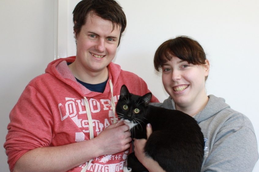 Merlin Adopted2