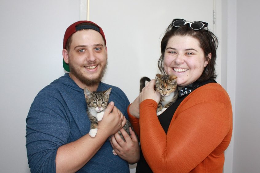 Willy & Whipper Adopted