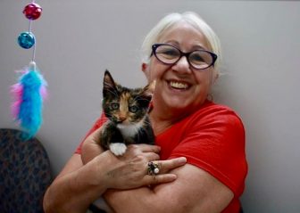 Stormy Adopted1