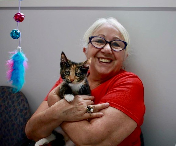 Stormy Adopted1