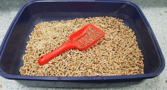 cat litter tray and scoop