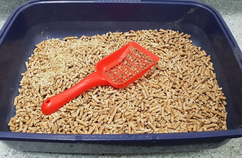 cat litter tray and scoop