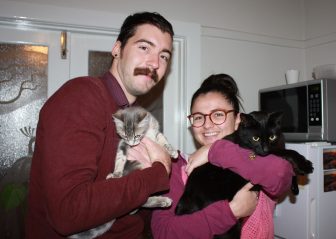 Apollo Adopted