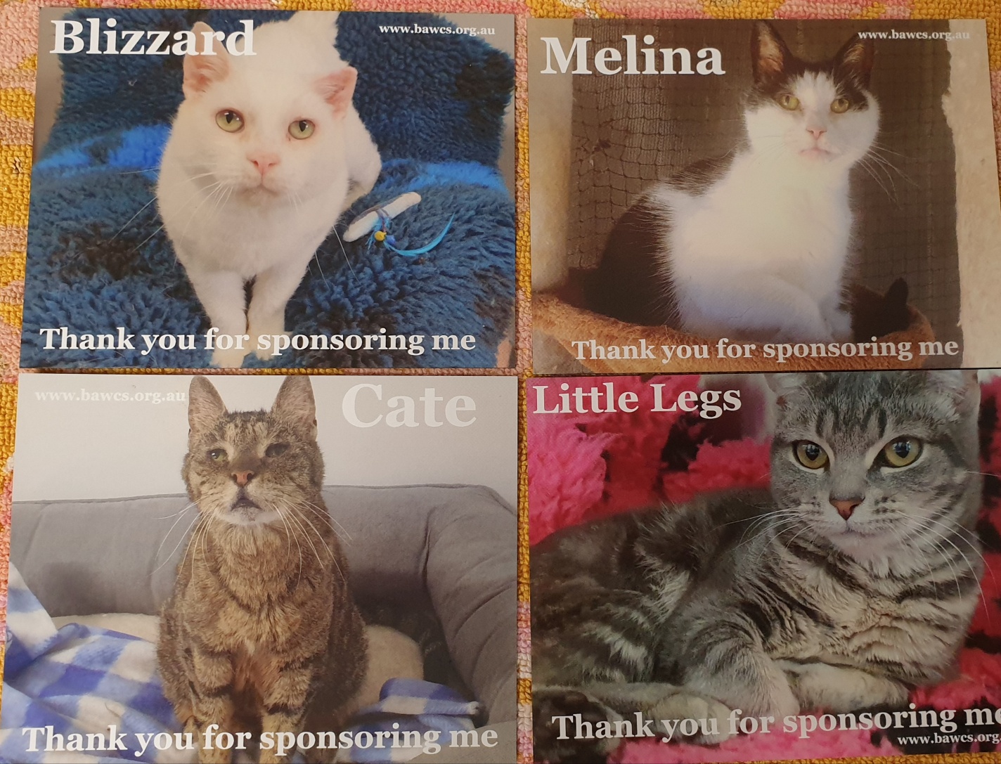 Sponsorship magnets 2023 1